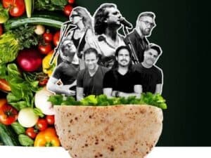 כוורת לילדים