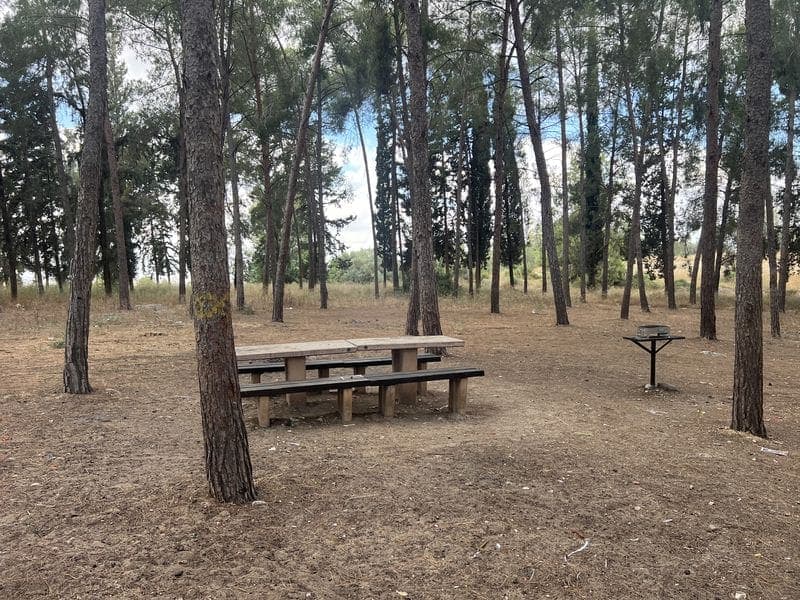 יער הרצל – חניון מקסיקו
